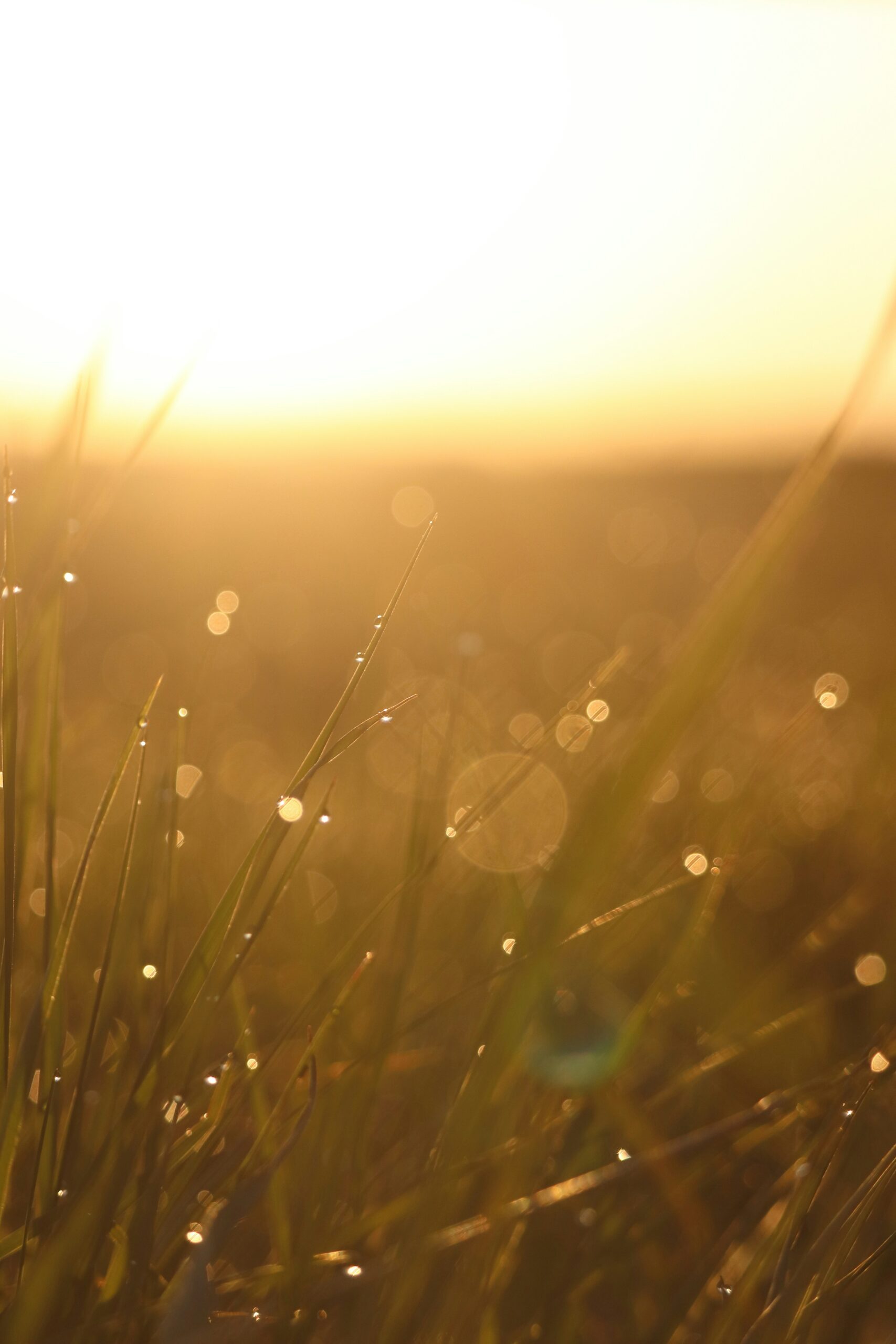 live-kaiah-U_WvAWXFpH4-unsplash