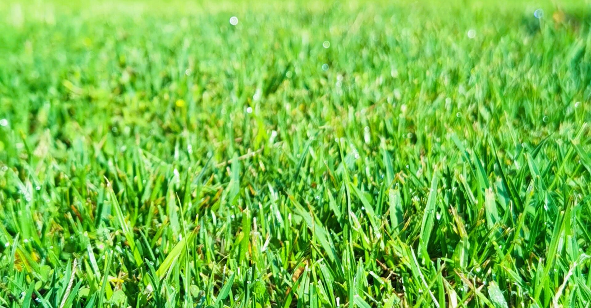 tinashe-guni-DDSk-wR2m7U-unsplash